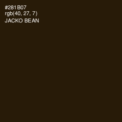 #281B07 - Jacko Bean Color Image